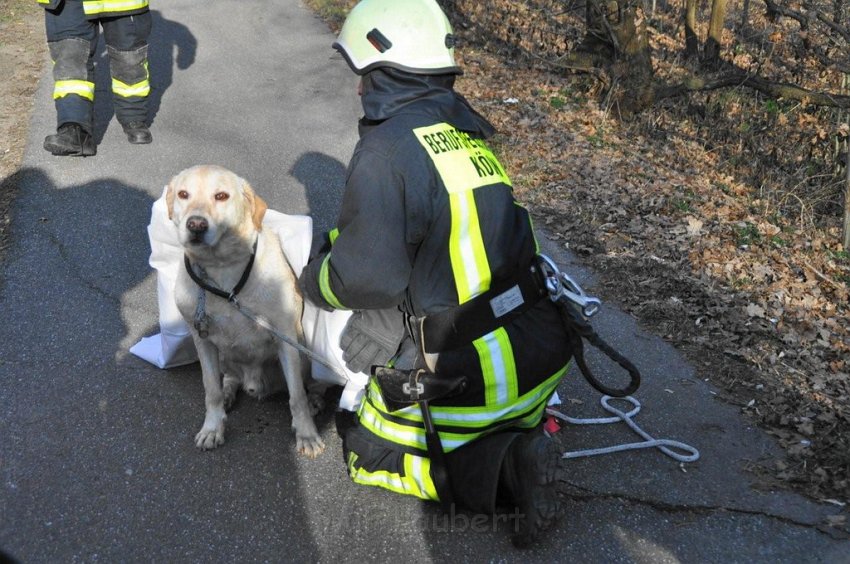Hund und Frauchen im Eis eingebrochen Koeln Dellbrueck Hoehenfelder See P13.jpg